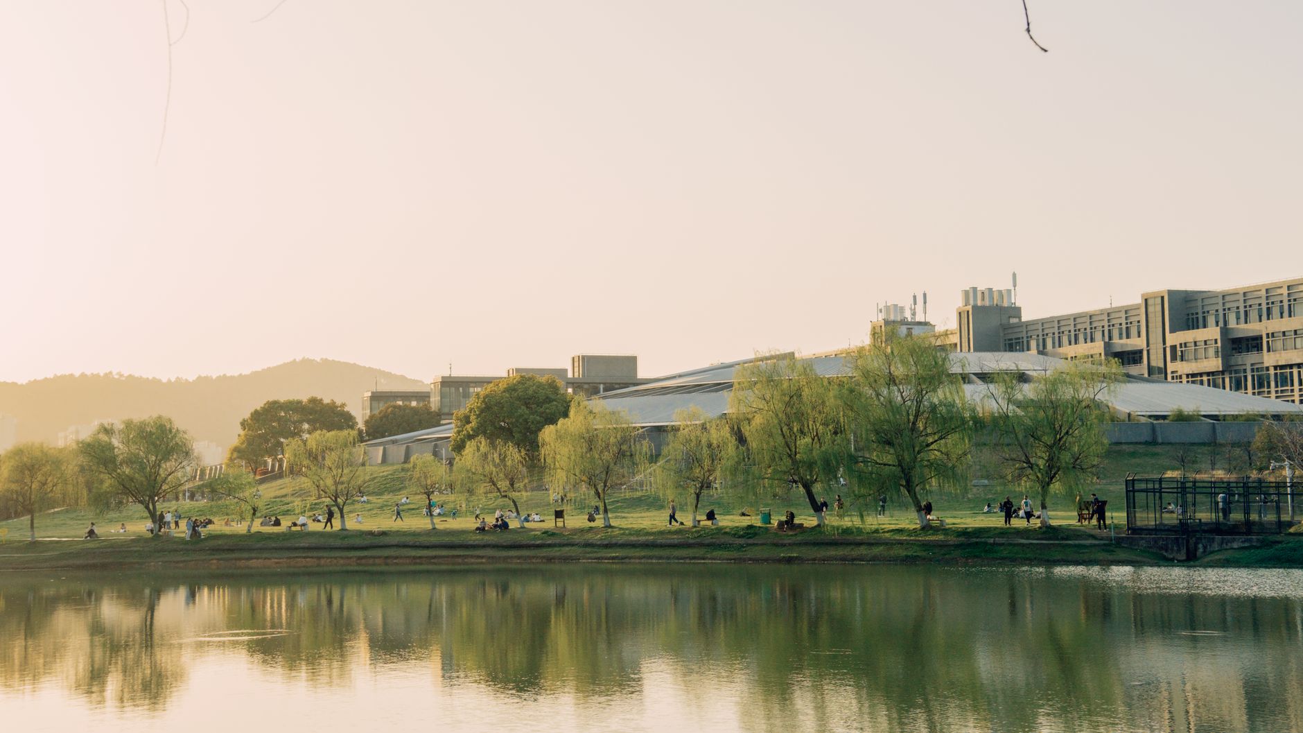 加州大学校园建筑