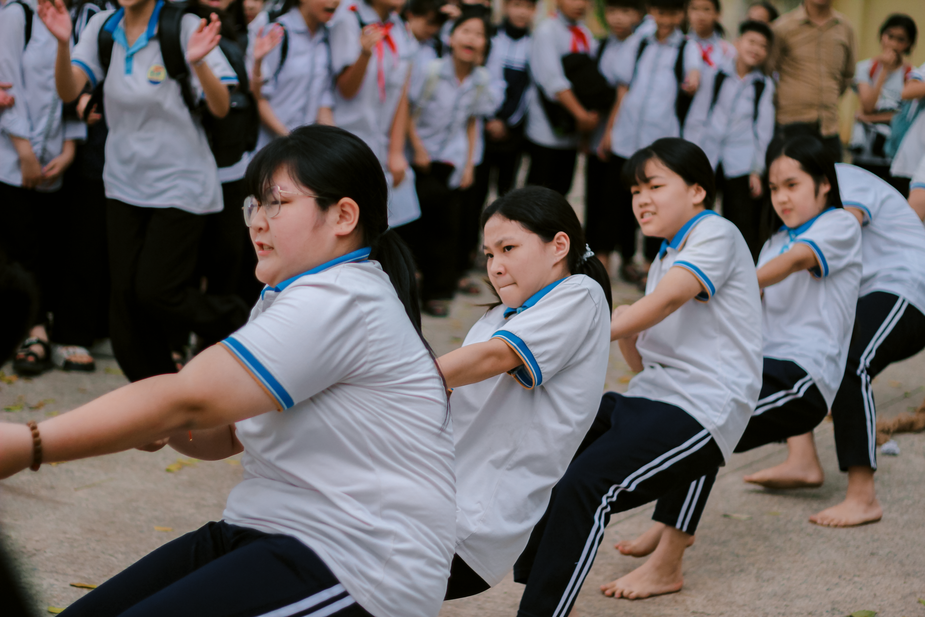 academic-org-cn 配图